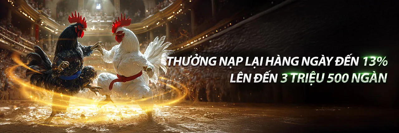 Đá gà kịch tính tại Sun888